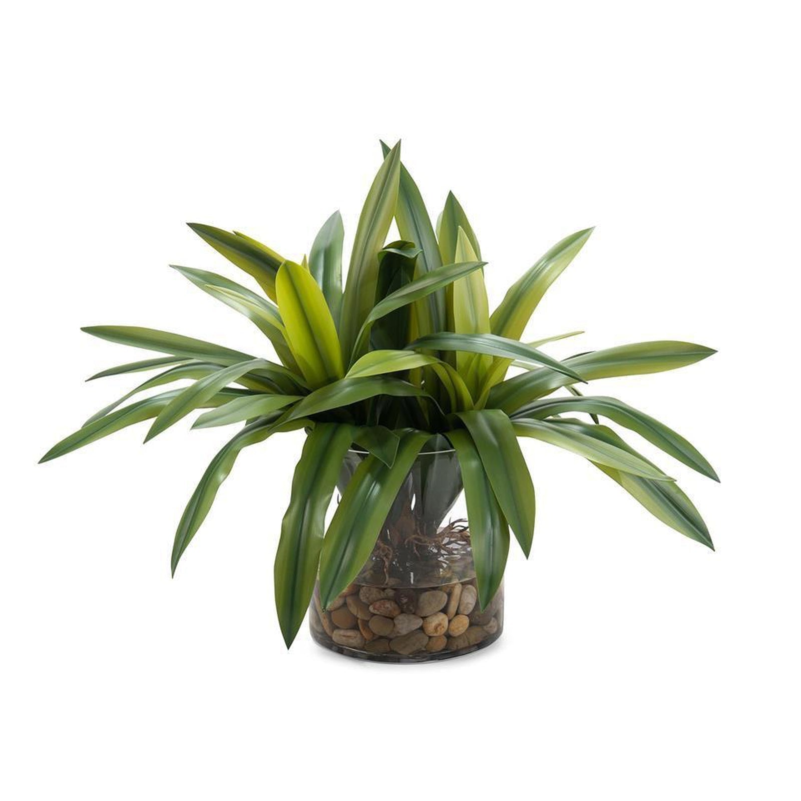 John Richard Real-Touch Yucca