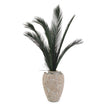John Richard Crusty Palms