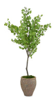John Richard Decor Atlantis Ginko