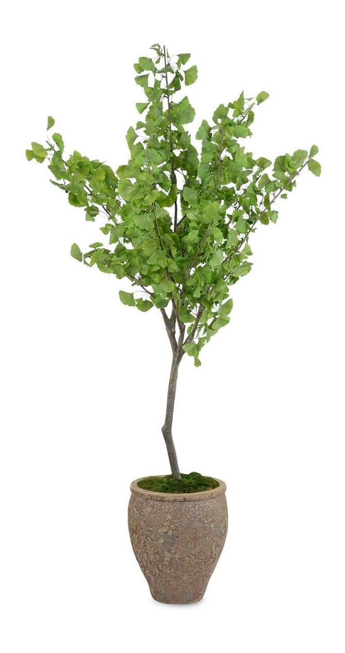 John Richard Decor Atlantis Ginko
