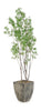 John Richard Decor Atlantis Maple