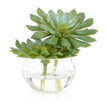 John Richard Decor Double Succulent