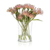 John Richard Decor Cushion Protea