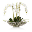 John Richard Decor Orchid Display