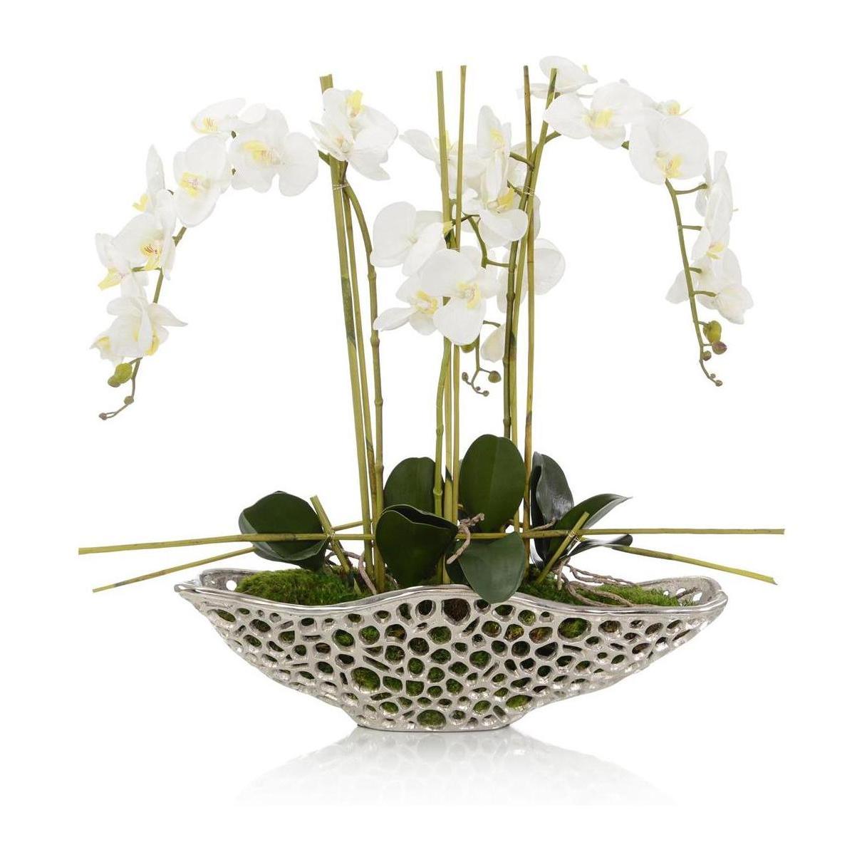 John Richard Decor Orchid Display