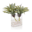 John Richard Decor Desert Agave