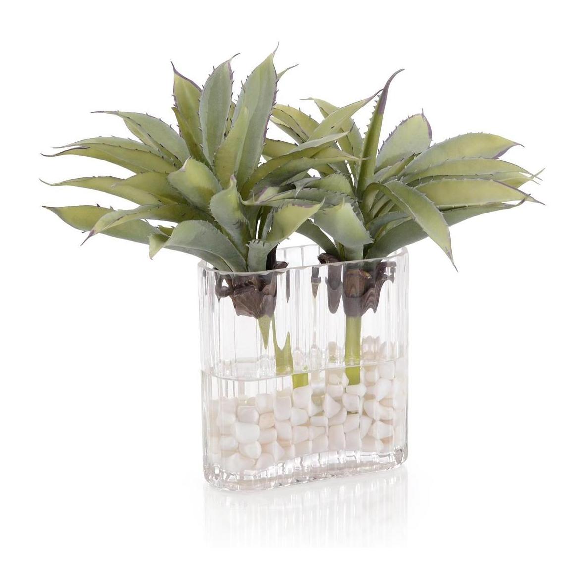 John Richard Decor Desert Agave