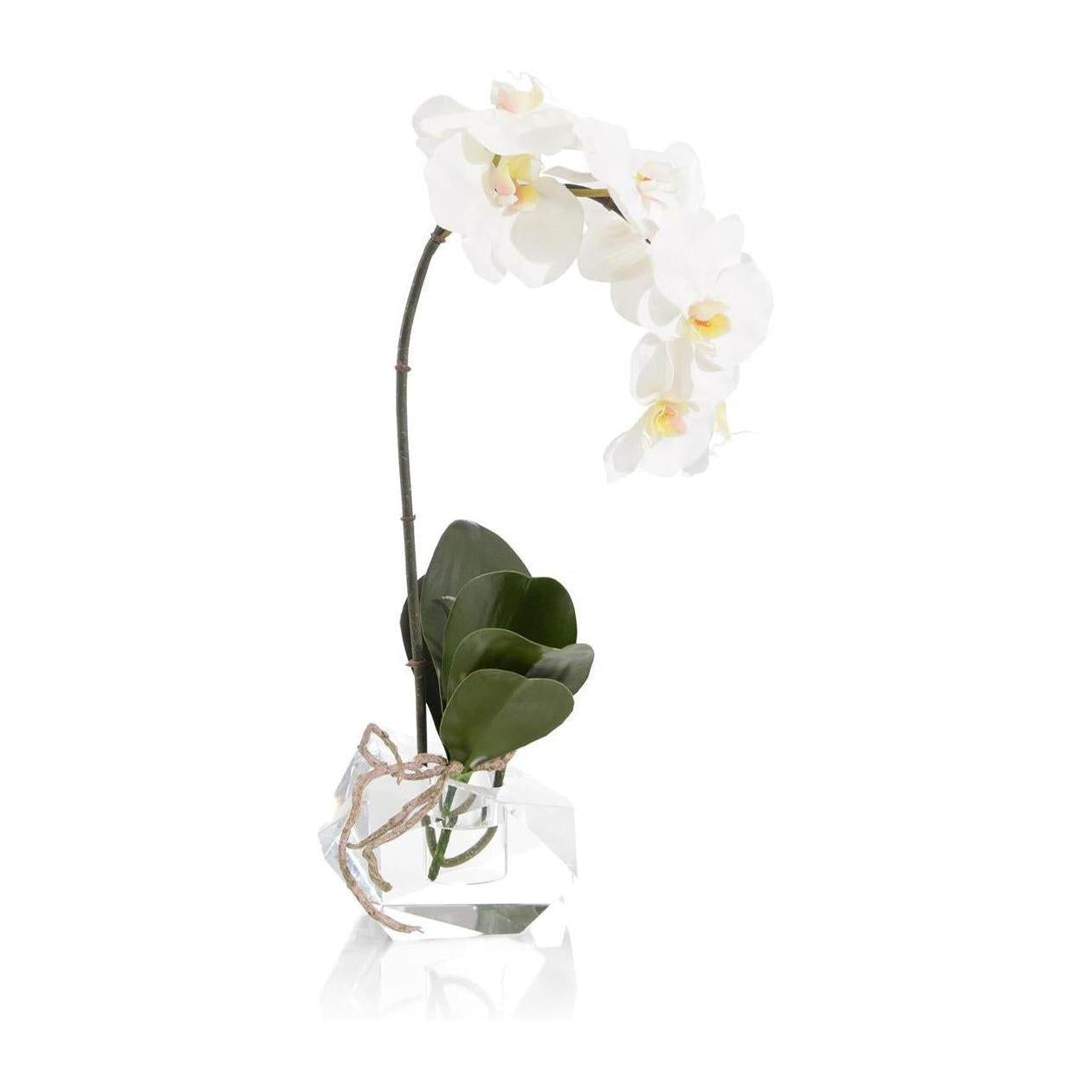 John Richard Decor Real Touch Orchid