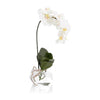 John Richard Decor Real Touch Orchid