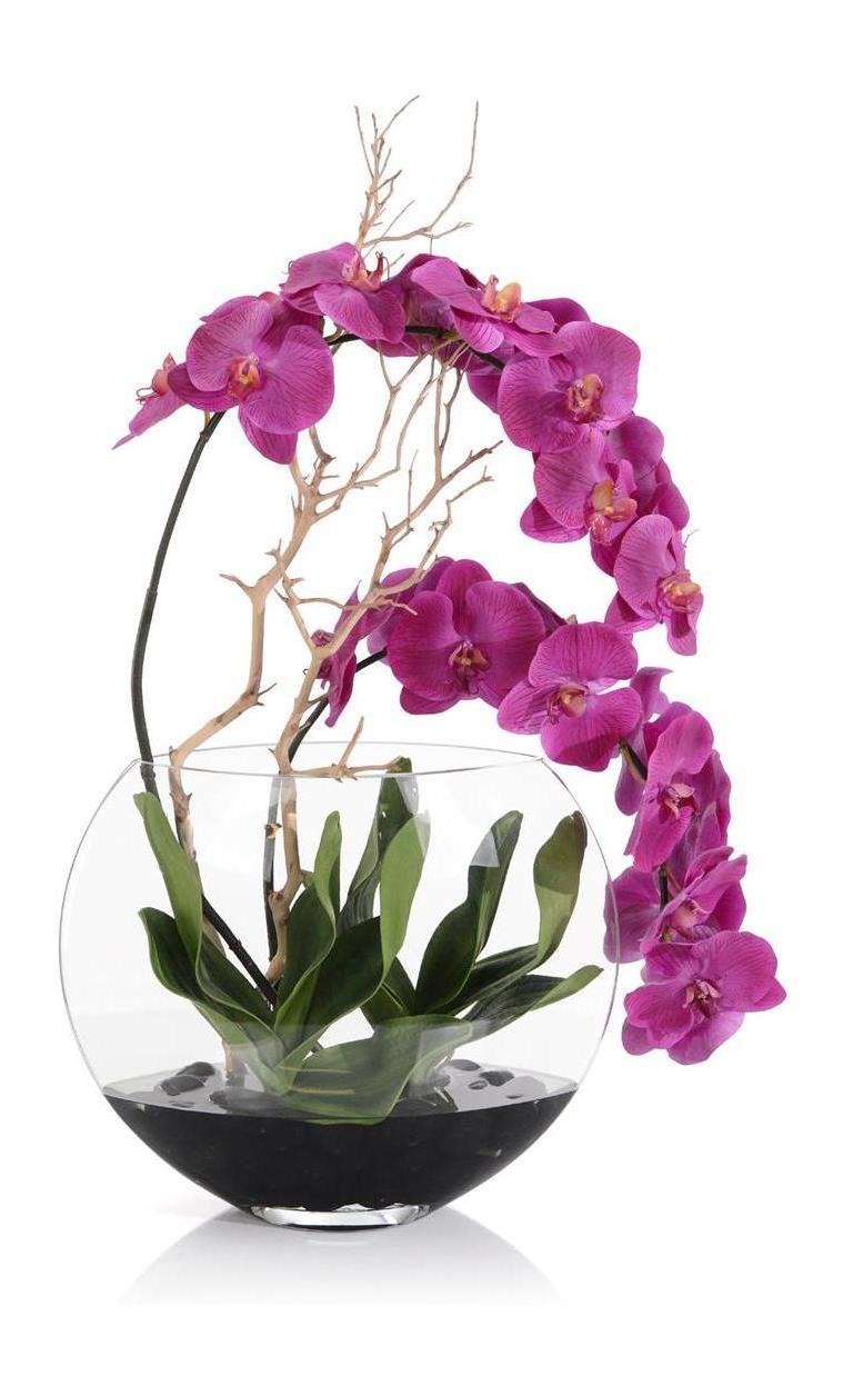 John Richard Decor Asian Beauty