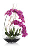 John Richard Decor Asian Beauty