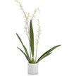 John Richard Decor Cattleya Orchid