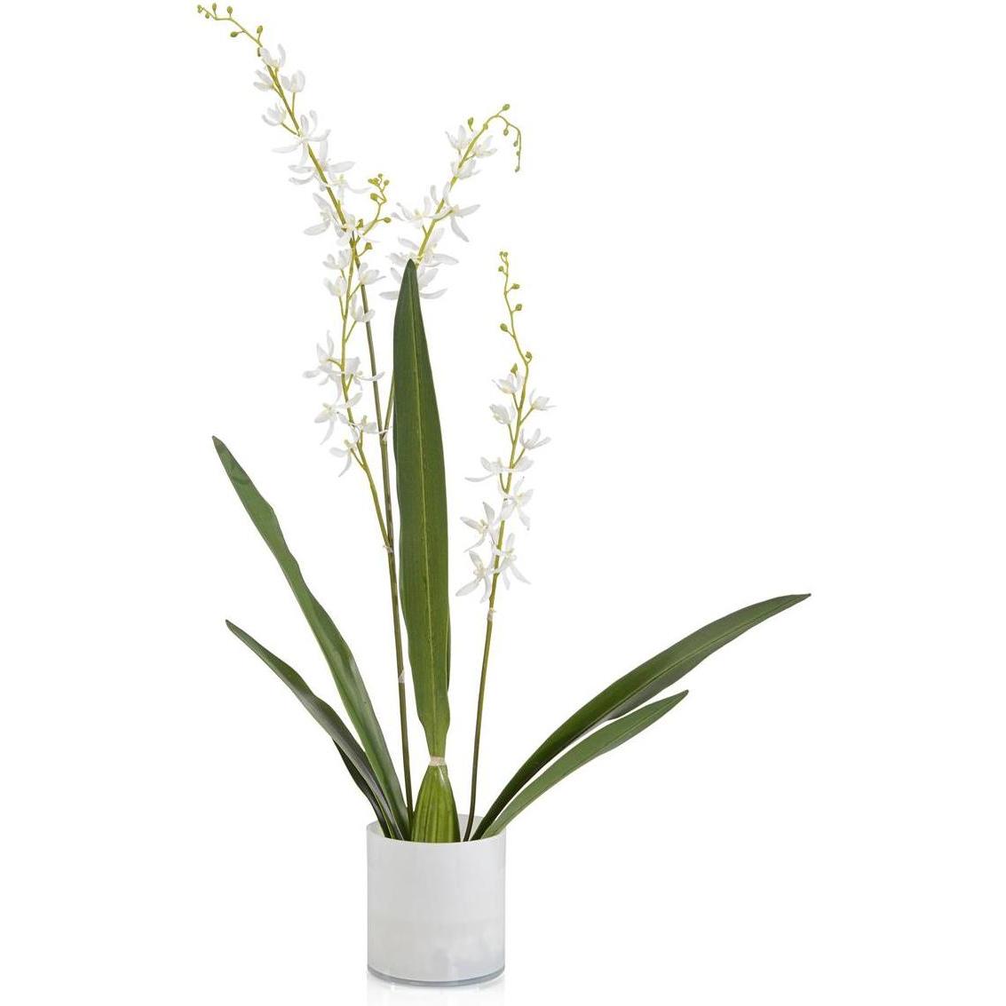 John Richard Decor Cattleya Orchid