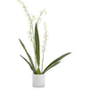 John Richard Decor Cattleya Orchid