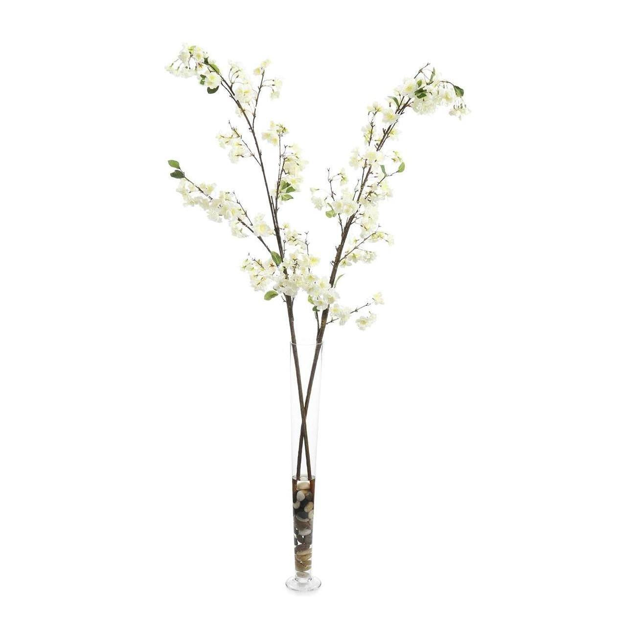 John Richard Decor Cream Cherry Blossoms