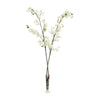 John Richard Decor Cream Cherry Blossoms