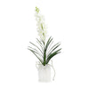John Richard Decor Dendrobium 'N' Selenite
