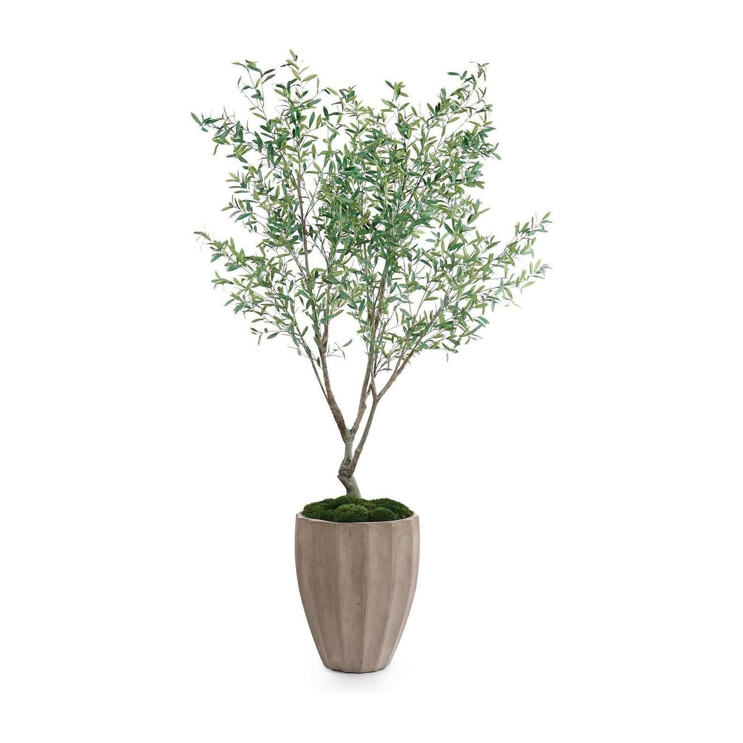 John Richard Decor Tuscan Olive