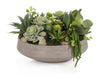 John Richard Decor Amsterdam Succulents