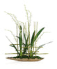 John Richard Decor Asian Cymbidiums