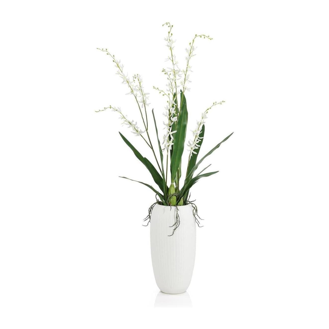 John Richard Decor Elegant White