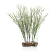 John Richard Decor Cactus Succulent