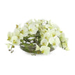 John Richard Decor Enchanted Orchids