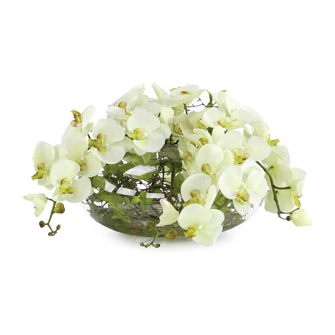 John Richard Decor Enchanted Orchids