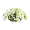 John Richard Decor Enchanted Orchids