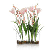 John Richard Decor First Blooms