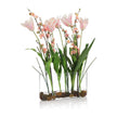 John Richard Decor First Blooms