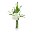 John Richard Decor Callas and Pickerel
