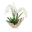 John Richard Decor Elegant Real Touch Orchids