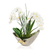John Richard Decor Elegant Real Touch Orchids