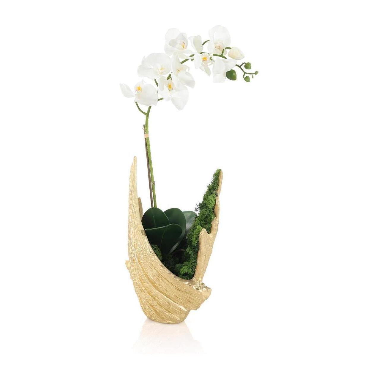 John Richard Decor Organic Mossy Orchid