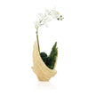 John Richard Decor Organic Mossy Orchid