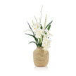John Richard Decor Tahitian Orchids