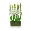 John Richard Decor Gladiola Garden