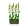 John Richard Decor Gladiola Garden