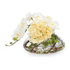 John Richard Decor Golden Sun Hydrangeas