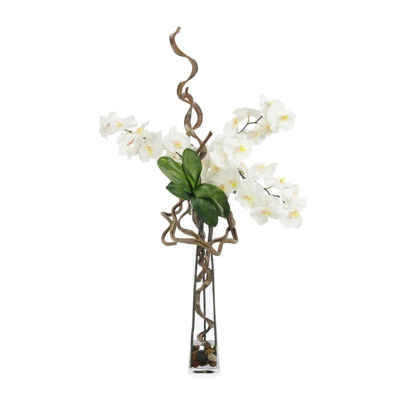 John Richard Decor Nature in Bloom