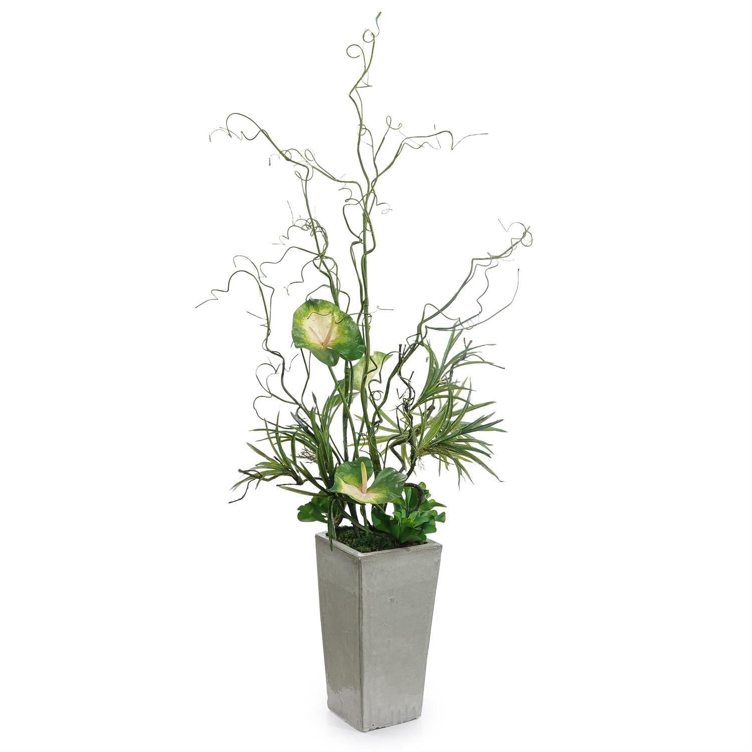 John Richard Twisted Curly Willow and Anthurium