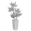 John Richard Frosted Agave Plant
