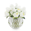 John Richard Winter White Peonies