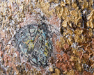 John Richard Teng Fei'S Gilded Butterflies Wall Art