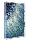 John Richard Tony Fey'S Rays Of Ocean Light Wall Art