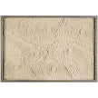 John Richard Tony Fey'S Hushed Garden Wall Art