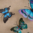 John Richard Tony Fey's Flight of the Butterflies