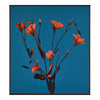 John Richard Teng Fei's Sunset Blooms