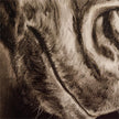 John Richard LM Zhou's Noble Equine